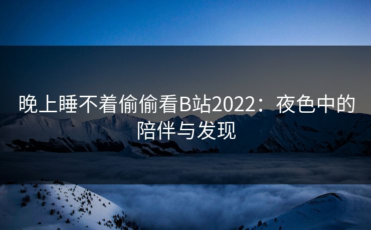 晚上睡不着偷偷看B站2022:夜色中的陪伴与发现