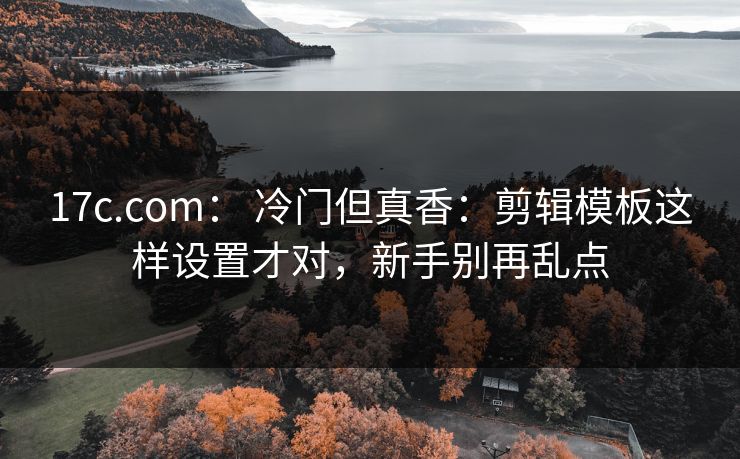 17c.com: 冷门但真香:剪辑模板这样设置才对,新手别再乱点