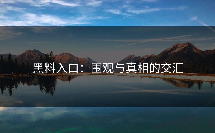 黑料入口：围观与真相的交汇